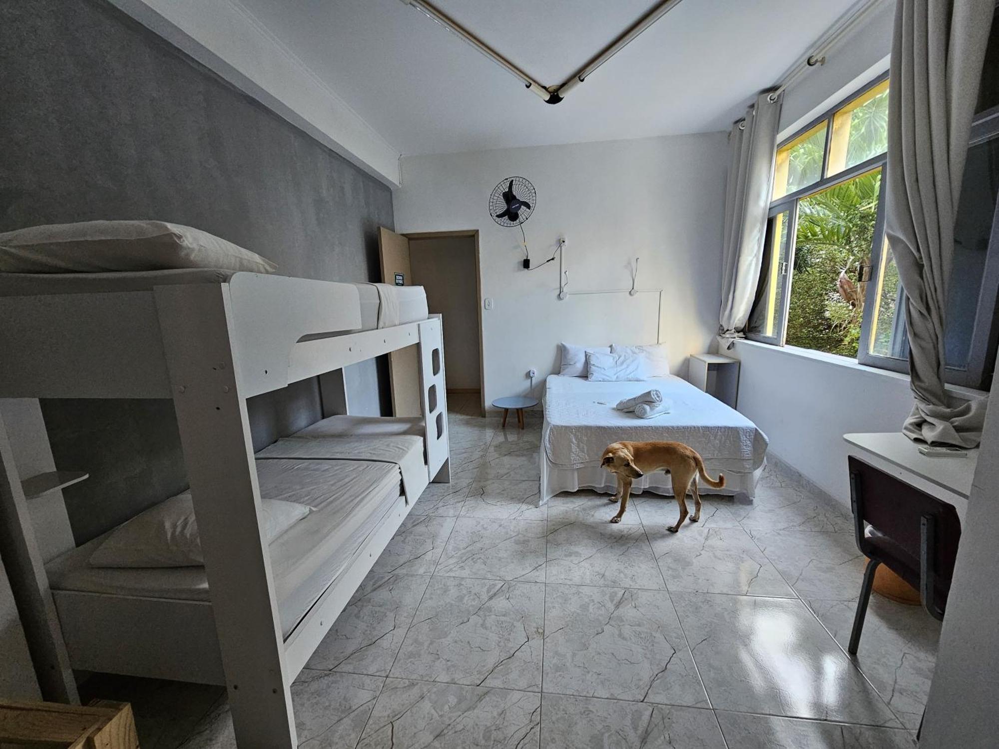 Nomads Hostel Multicultural & Coworking Σαλβαντόρ Εξωτερικό φωτογραφία